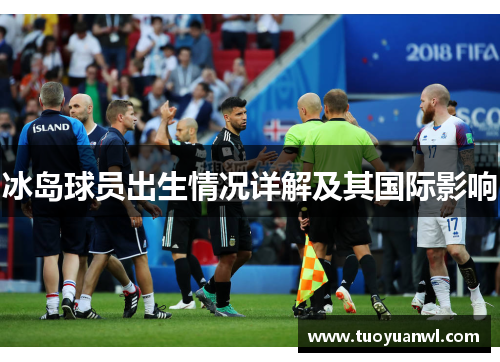 冰岛球员出生情况详解及其国际影响