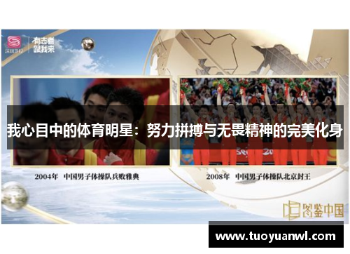 我心目中的体育明星：努力拼搏与无畏精神的完美化身