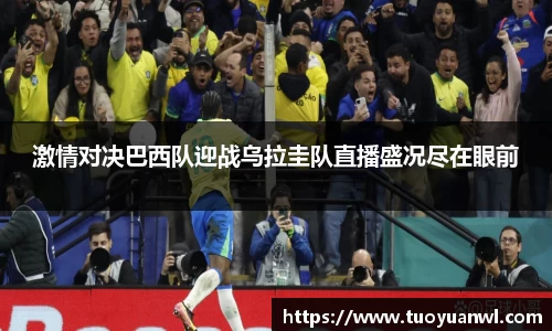 PA视讯网址